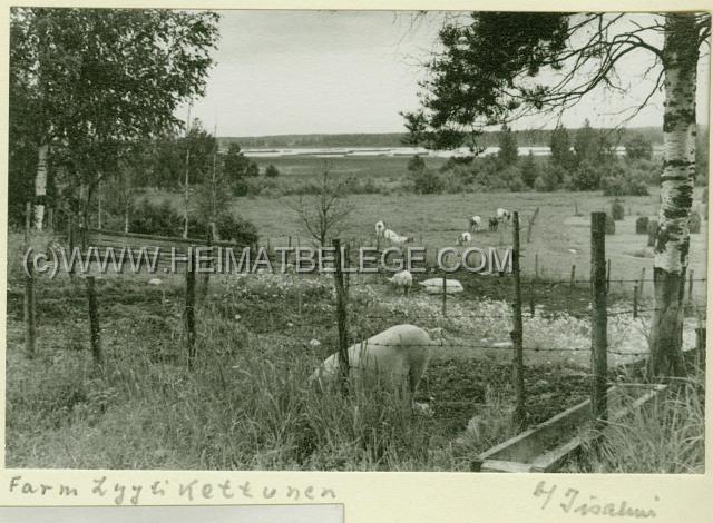 031_3 vanha valokuvaus Iisalmi 7747k.jpg